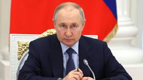 Putin wants entrepreneurs to look beyond domestic market