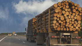 Russian timber exports continue to fall