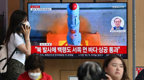 North Korea’s first spy satellite crashes after launch