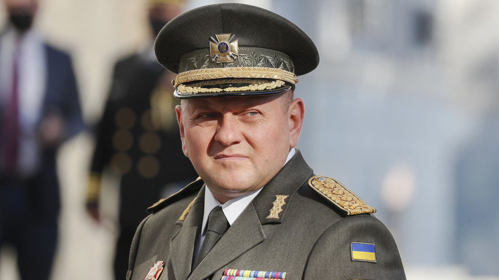 https://www.rt.com/information/578242-putin-zaluzhny-ukraine-commander/Ukraine’s high normal ‘might be overseas’ – Putin