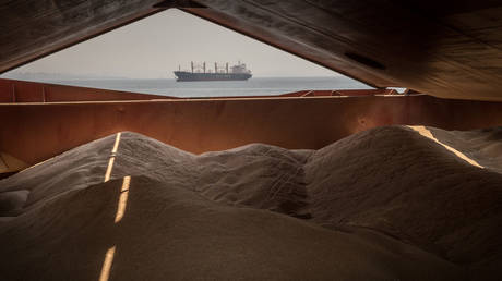 FILE PHOTO: Piles of grain on board a ship during an inspection in Istanbul, Turkey.