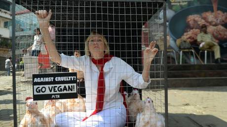 Ingrid Newkirk protests outside a KFC restaurant in Mumbai, India, November 6, 2014