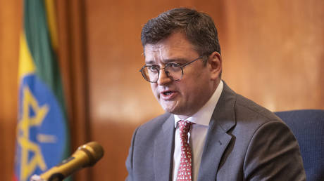 FILE PHOTO: Ukrainian Foreign Minister Dmitry Kuleba.