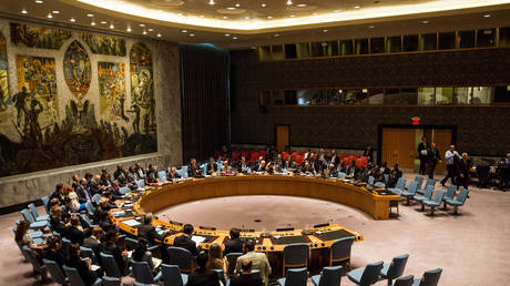 US to propose major UN Security Council reform – WaPo