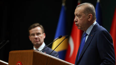 FILE PHOTO: Turkish President Recep Tayyip Erdogan (R) and Swedish Prime Minister Ulf Kristersson (L) attend a joint press conference in Ankara, Türkiye, on nOvember 8, 2022.