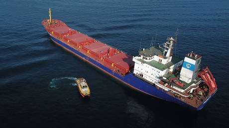 A cargo ship loaded with Ukrainian grain inspected in the anchorage area of the southern entrance to the Bosphorus in the Turkish city of Istanbul.