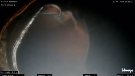 New Nord Stream blast aftermath footage released (VIDEO)