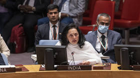India calls for UN Security Council reform