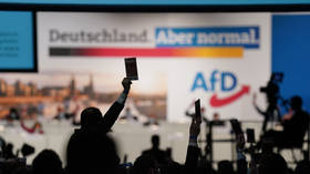 Polls show rise in support for German right-wing party