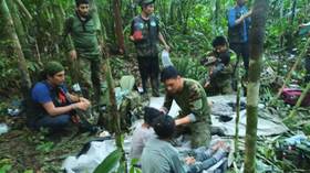 Children survive 40 days in jungle after plane crash