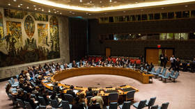 US to propose major UN Security Council reform – WaPo