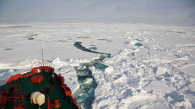Russia’s economic future lies in Arctic, minister tells RT