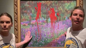 Eco-activists vandalize Monet artwork