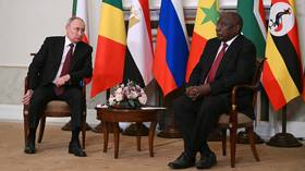Ukraine peace initiative puts Africa at the table, Zambian delegate says
