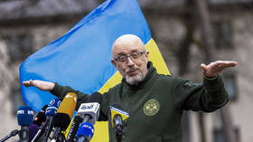 Ukraine counteroffensive expectations ‘overestimated’ – Kiev