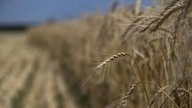 Quitting grain deal will not affect Russia’s agricultural exports – Lavrov