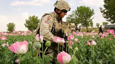 FILE PHOTO: US Army Colonel Paul Calbos walks through an Afghan poppy field in April 2006.