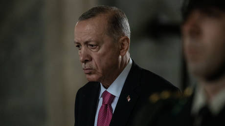 Erdogan blames  ‘war lobby’ for Ukraine peace process failure