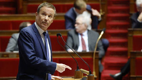 FILE PHOTO: French MP Nicolas Dupont-Aignan speaks during a debate at the parliament