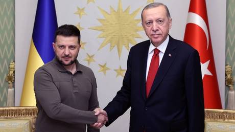 Ukraine ‘deserves’ NATO membership – Erdogan