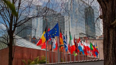 FILE PHOTO: The flags of the EU and member states in front of the European Parliament in Brussels