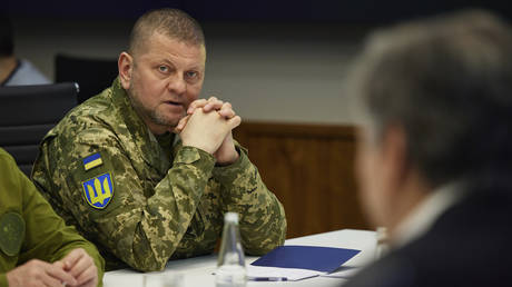 File photo: Commander-in-Chief of Ukraine Armed Forces Valery Zaluzhny
