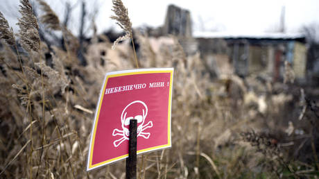 Third of Ukraine’s territory covered in mines and cluster bombs – UN