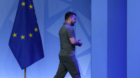 FILE PHOTO: Ukrainian President Vladimir Zelensky walks past the flag of the EU