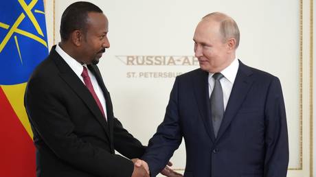 Russian President Vladimir Putin shakes hands with Ethiopian Prime Minster Abiy Ahmed during a meeting at the Constantine (Konstantinovsky) Palace in Strelna near St. Petersburg, Russia.
