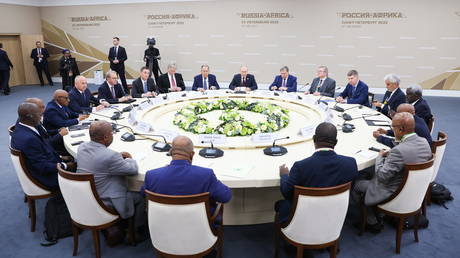 Putin backs G20 membership for African Union