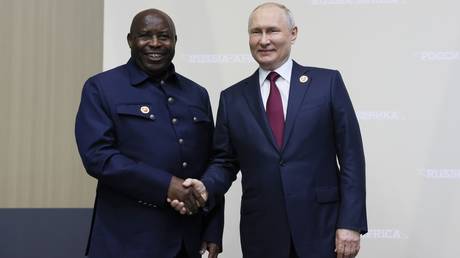 Russia and Africa must team up to rival Western control, analyst tells RT