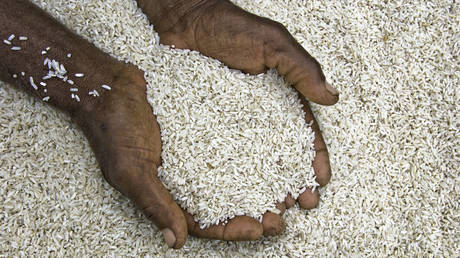 <div>India's rice export ban is a wise economic decision ahead of an election year</div>