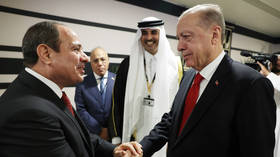 Egypt and Türkiye repair diplomatic relations