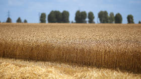 Russia comments on grain deal extension