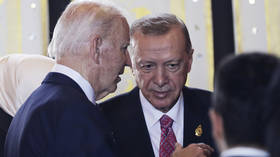 Biden pressures Türkiye on NATO expansion