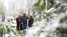 Snow falls on Johannesburg for first time in decade