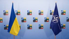 Ukraine calls out West over NATO membership terms