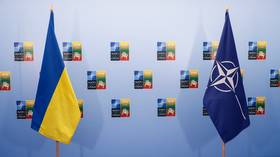 Ukraine in the dark over NATO membership terms – FM