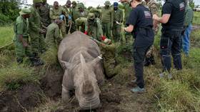 Scientists create new embryos to save African mammal