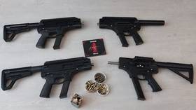 Neo-Nazi group armed with 3D-printed guns busted