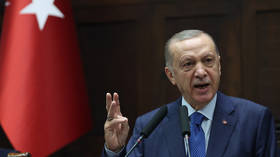 Erdogan appeals to West over Black Sea grain deal