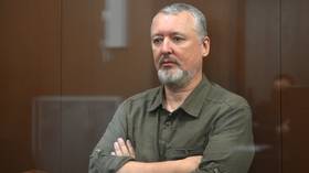 Ex-Donbass militia commander Strelkov remanded in custody