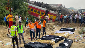 Signal error caused deadly Indian train tragedy – report