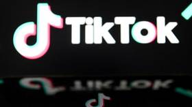 TikTok releases new feature to challenge Twitter