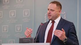 Ukraine to start talks with US on ‘security guarantees’ – Kiev