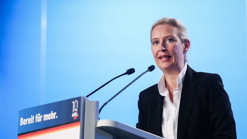 https://www.rt.com/information/580971-germany-afd-eu-failed/The EU is a ‘failed undertaking’ – German occasion