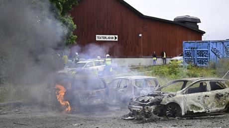 Chaos erupts at African cultural event in Stockholm (VIDEO)