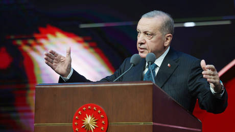 FILE PHOTO: Turkish President Recep Tayyip Erdogan