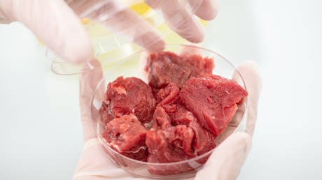 China closer to bringing lab-grown meat to dinner table