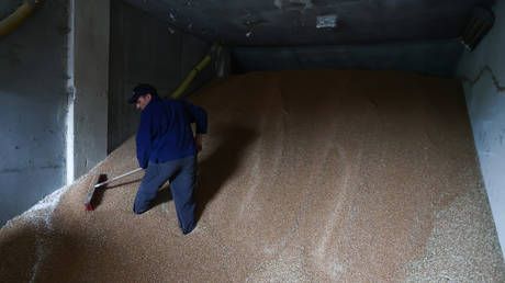 Poland ready to fight EU over Ukrainian grain – media